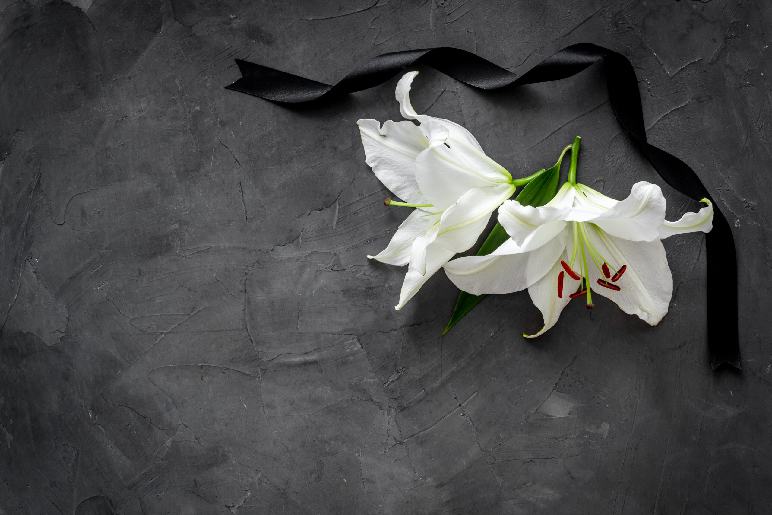 Lily funeral flower on dark stone. Condolence card with copy space.